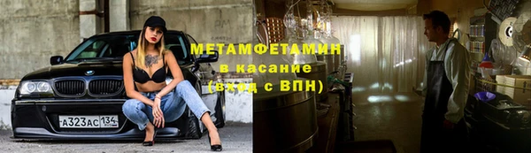 прущие грибы Абинск