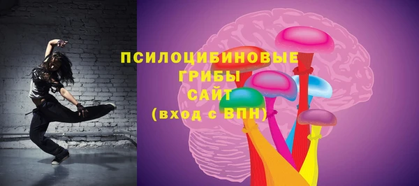 винт Абаза