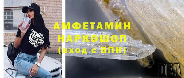 прущие грибы Абинск