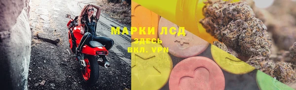 прущие грибы Абинск