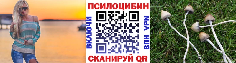 Галлюциногенные грибы ЛСД  Циолковский 
